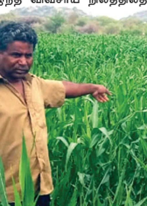  ஒரு பிடி மண்ணைக் கூட விட்டுத்தர மாட்டோம்!'' -சிப்காட்டை எதிர்க்கும் விவசாயிகள்!