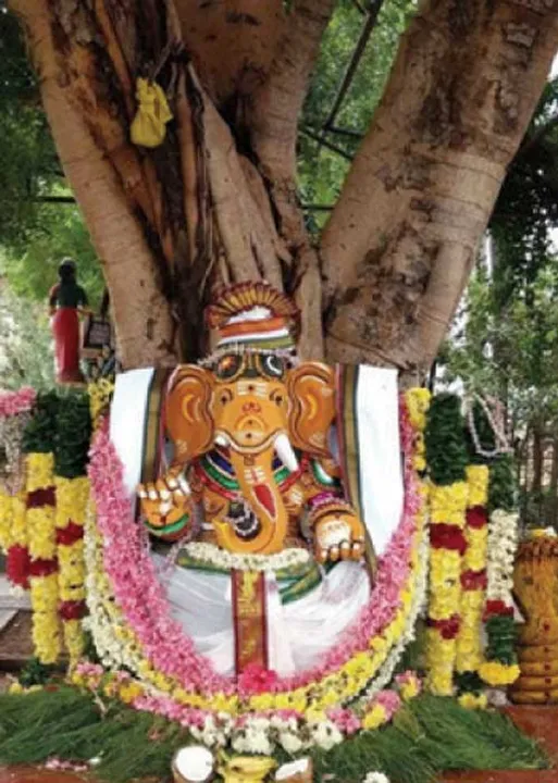  குபேர வாழ்வு தரும் அரசு இலை தீபா வழிபாடு! - பொ. பாலாஜிகணேஷ்