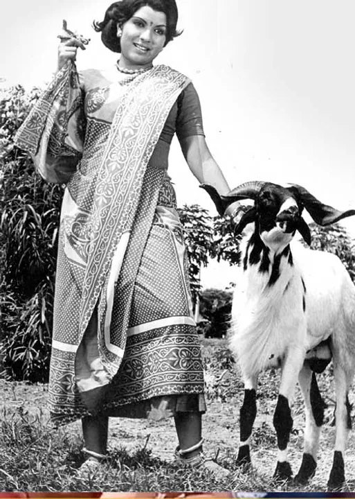  A கதைகள் -இரா.த.சக்திவேல்