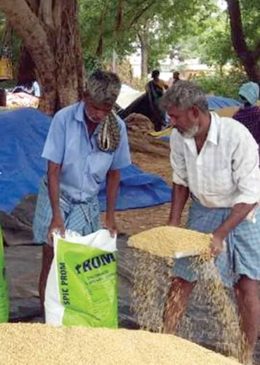  விவசாயிகளைச் சுரண்டும் நேரடி நெல் கொள்முதல் நிலையங்கள்!