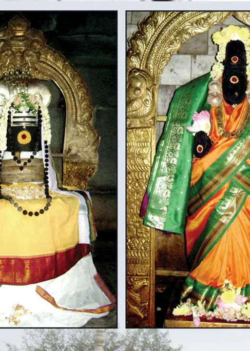  தீராத நோய் தீர்க்கும் கிளியனுர் அகஸ்தீஸ்வரர்!
