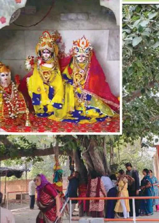  ராதைக்கு கிருஷ்ணன் வைத்த செந்தூரம்! - மதுரா பாண்டீர்வன் ஆலய வரலாறு