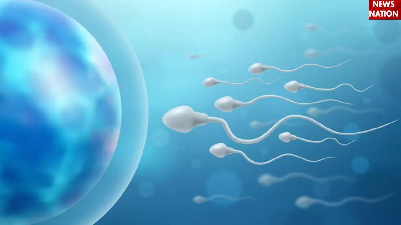 Sperm