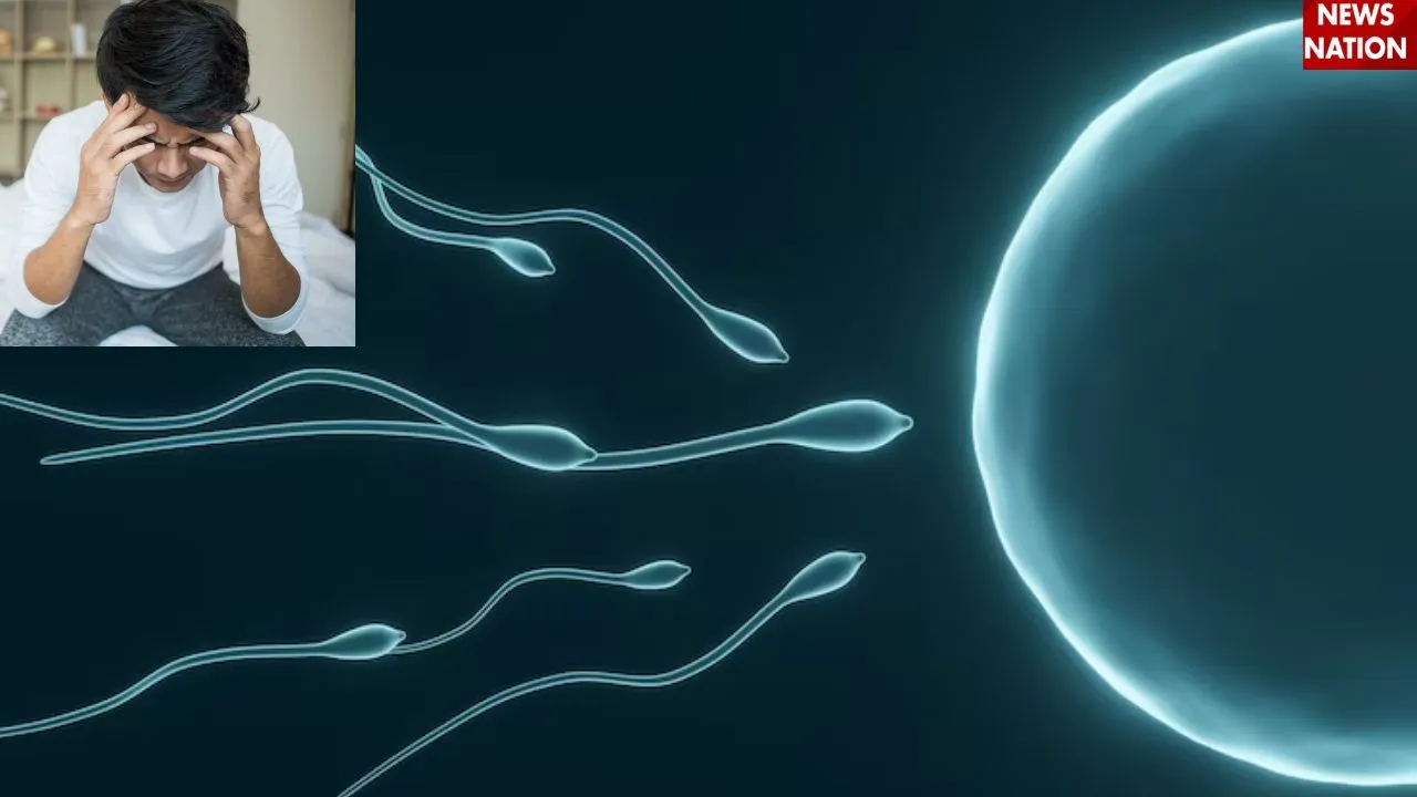 Sperm Count (1)