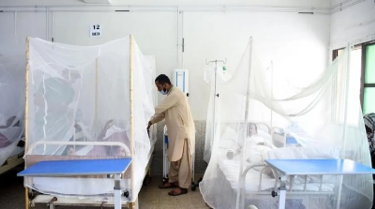 Pakistan,dengue fever,dengue,fever,Patients affected with dengue fever are treated inside mosquito nets at a hospital in Islamabad,