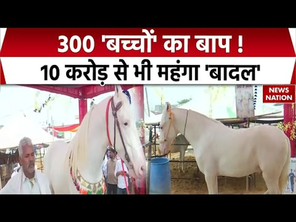 Pushkar Mela: मेले में आया 300 'बच्चों' का बाप | Badal है सबसे महंगा Horse | Pushkar Fair