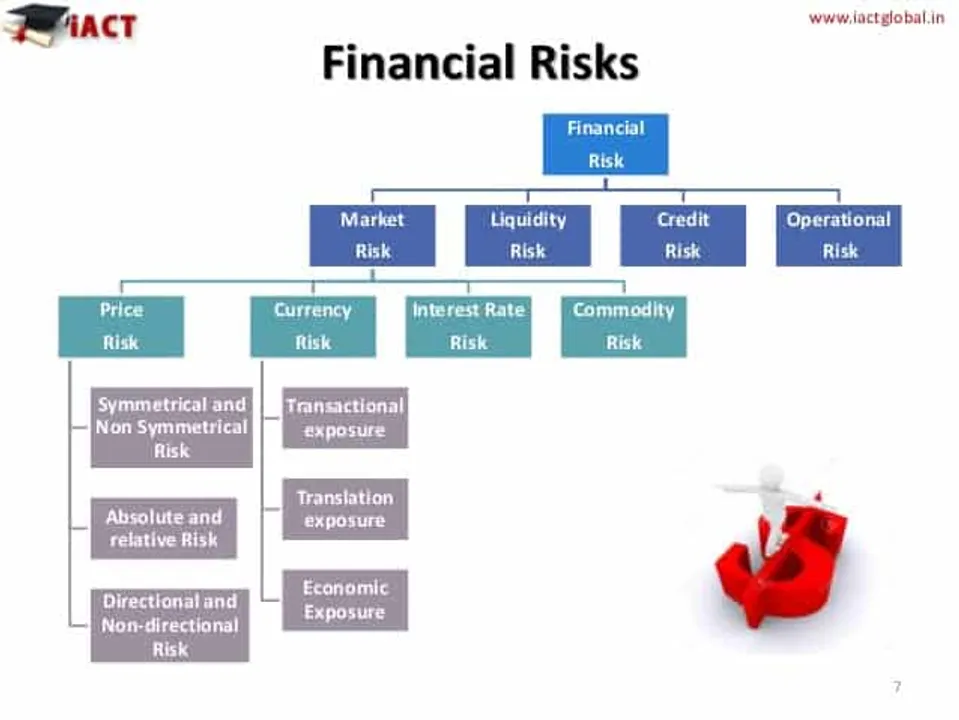 financial risk management