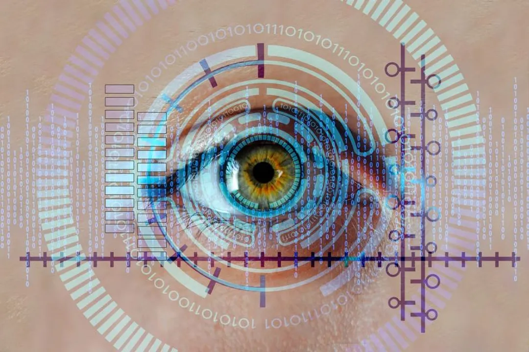 eye