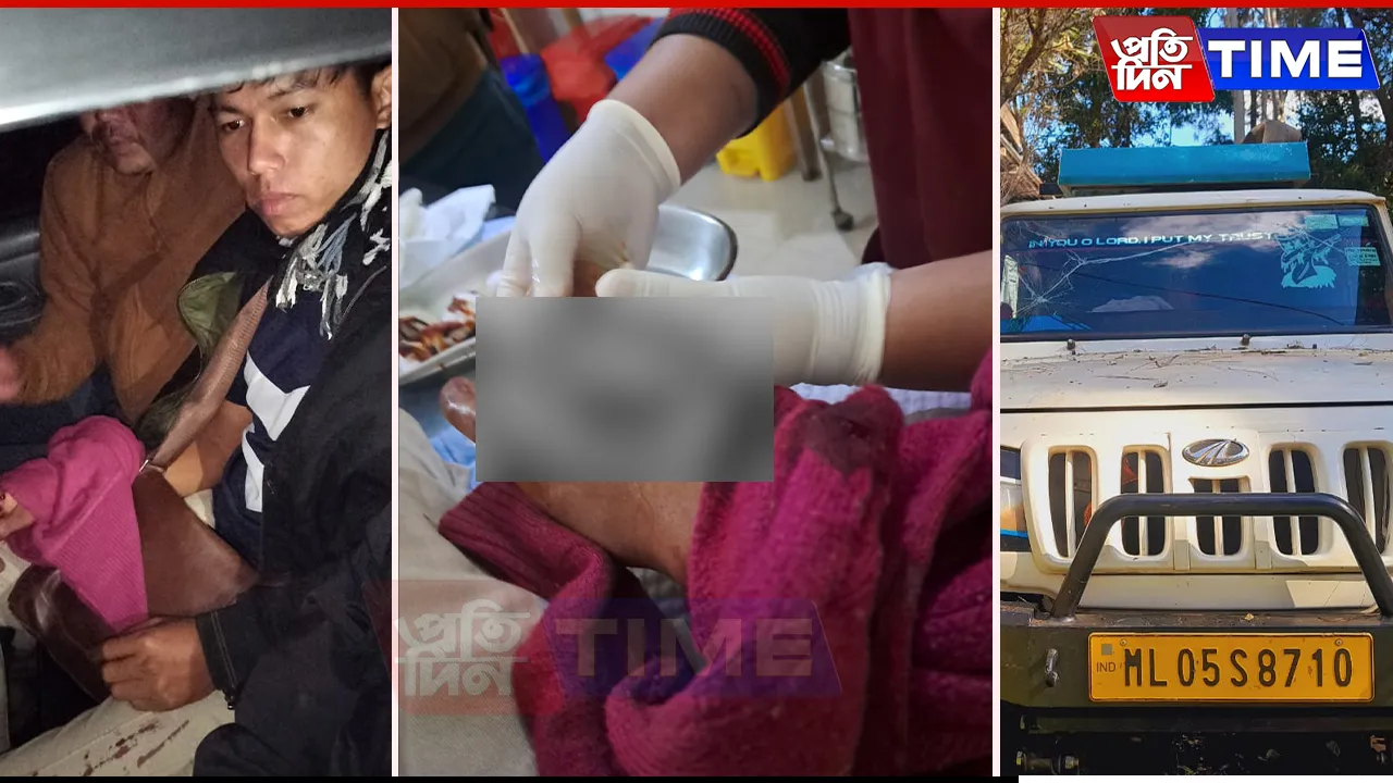 Assam: Several Injured In Anti-Timber Smuggling Op At Meghalaya Border