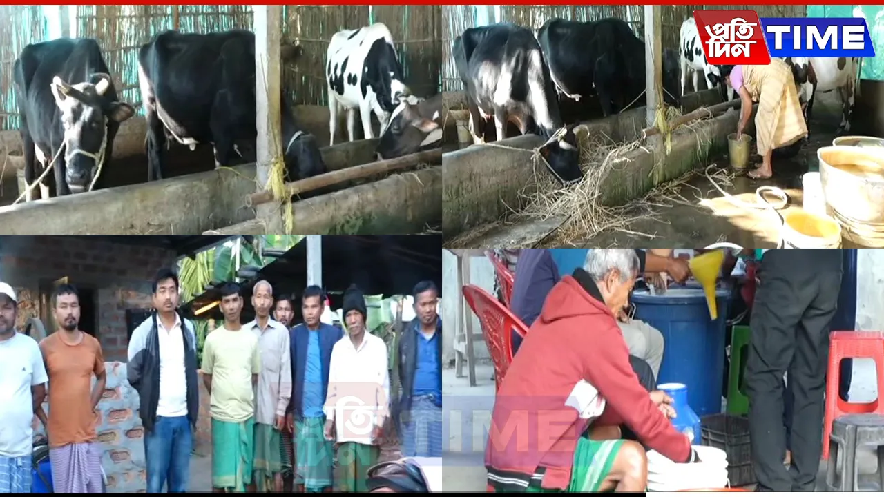 How Assam's Dahalapara Became a Model of Progress with Dairy Farming