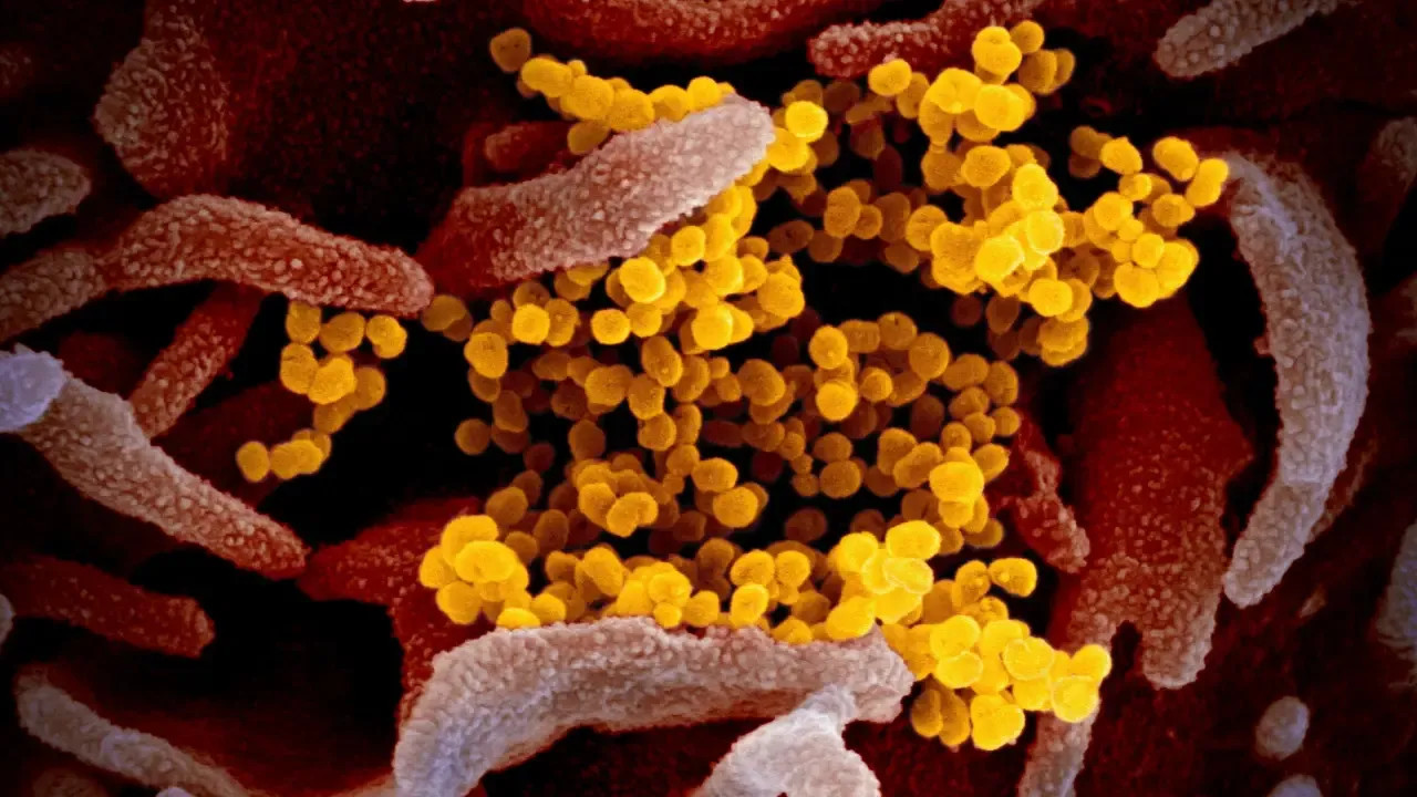 India Monitors HMPV Outbreak In China, Urges Caution But No Alarm