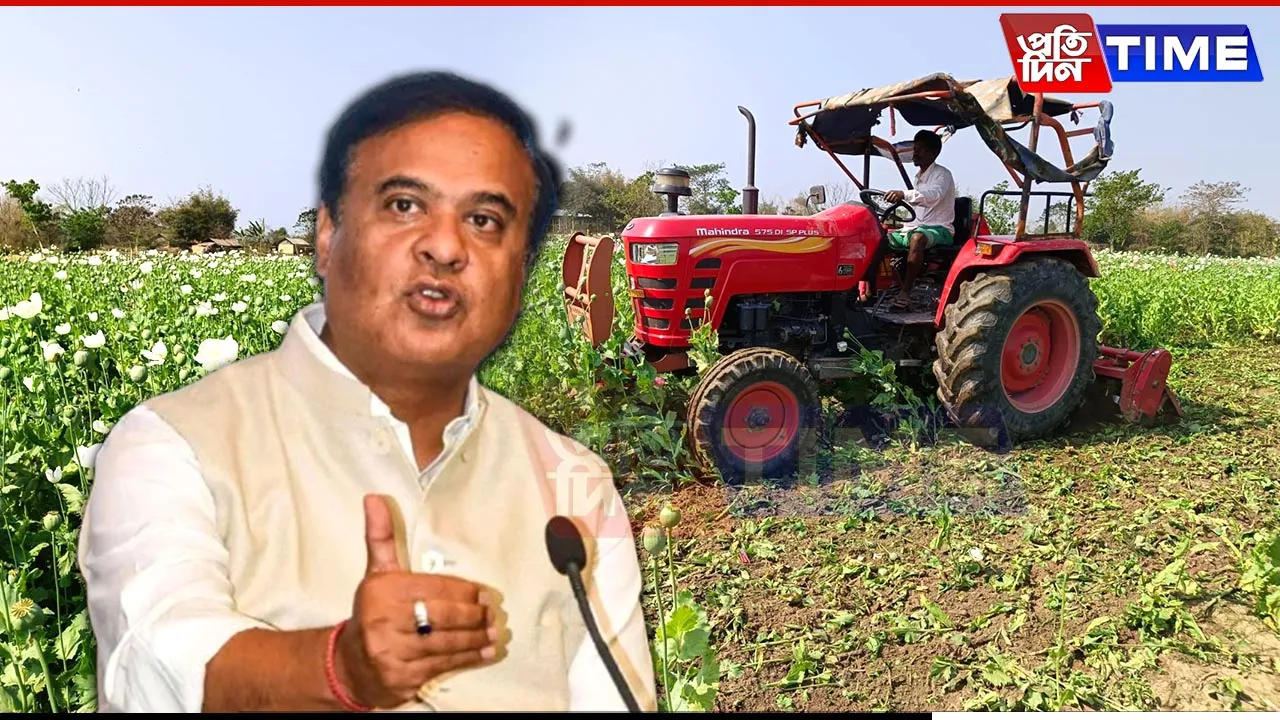 Assam CM Praises Security Forces for Destroying Illegal Poppy Cultivation