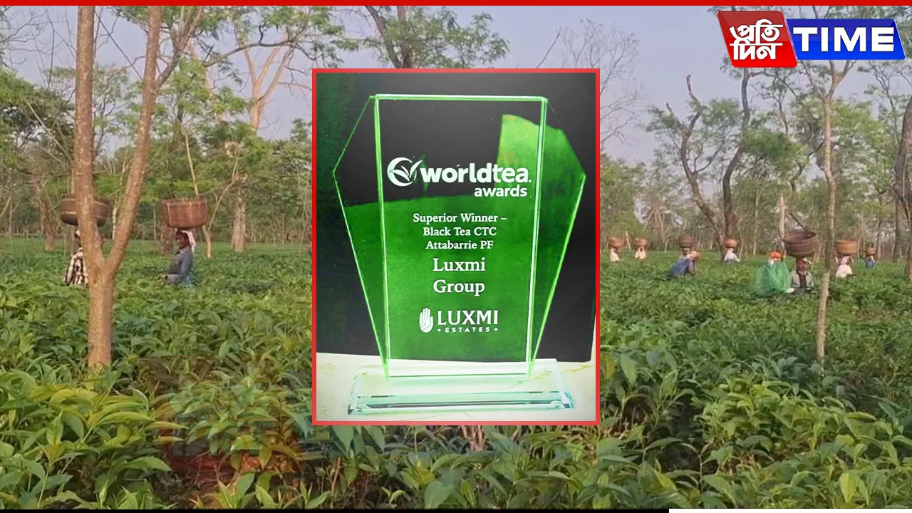 Assam Tea Triumphs Again: Attabarie’s CTC Tea Bags ‘World Tea Award’
