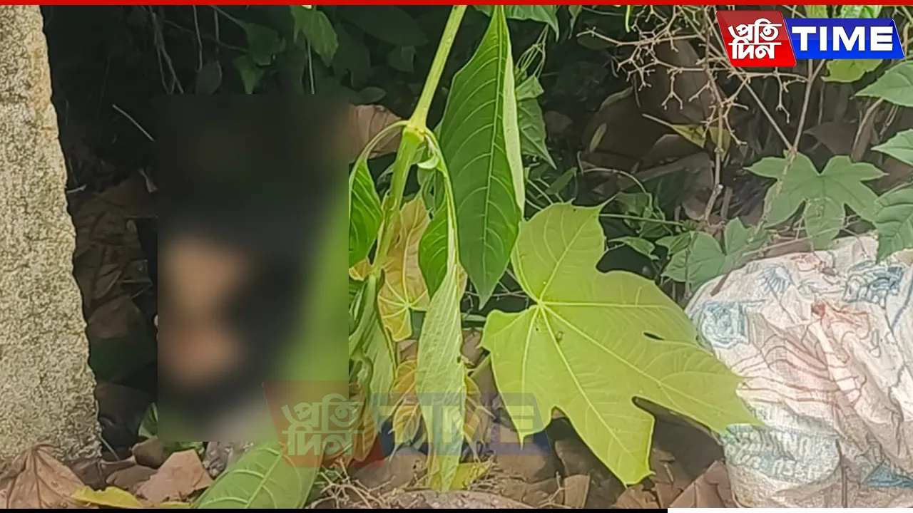 Guwahati: Trolley Bag With Human Legs Found Near Basistha Forest Office