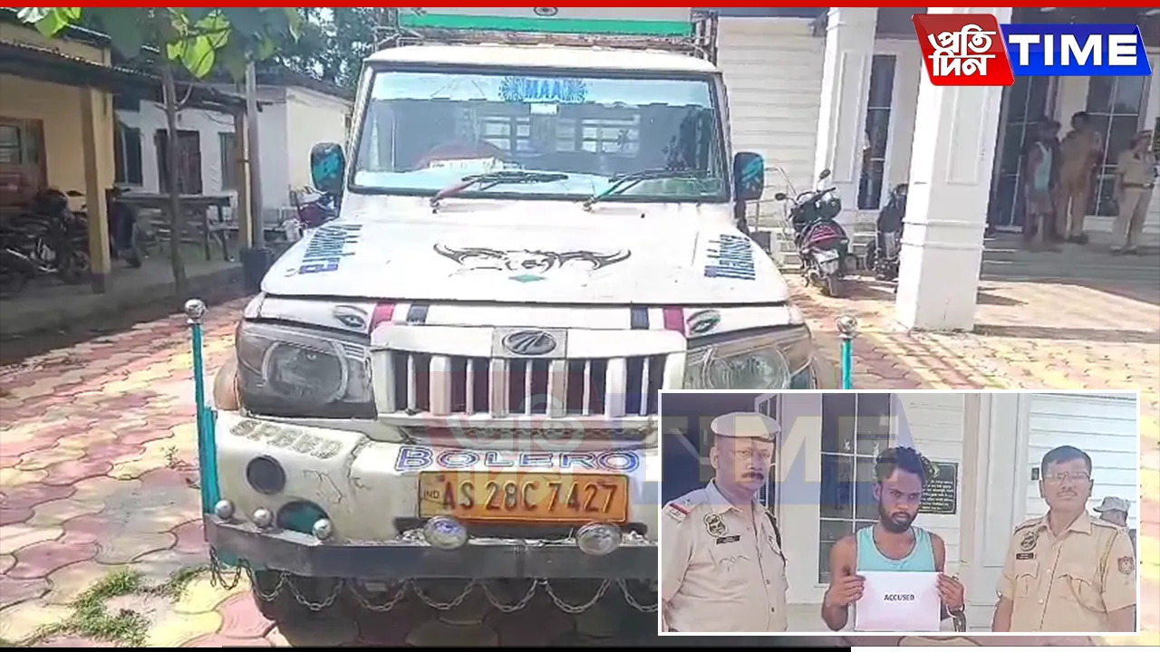 Assam Police Thwart Massive Rice Heist in Bajali, One Held