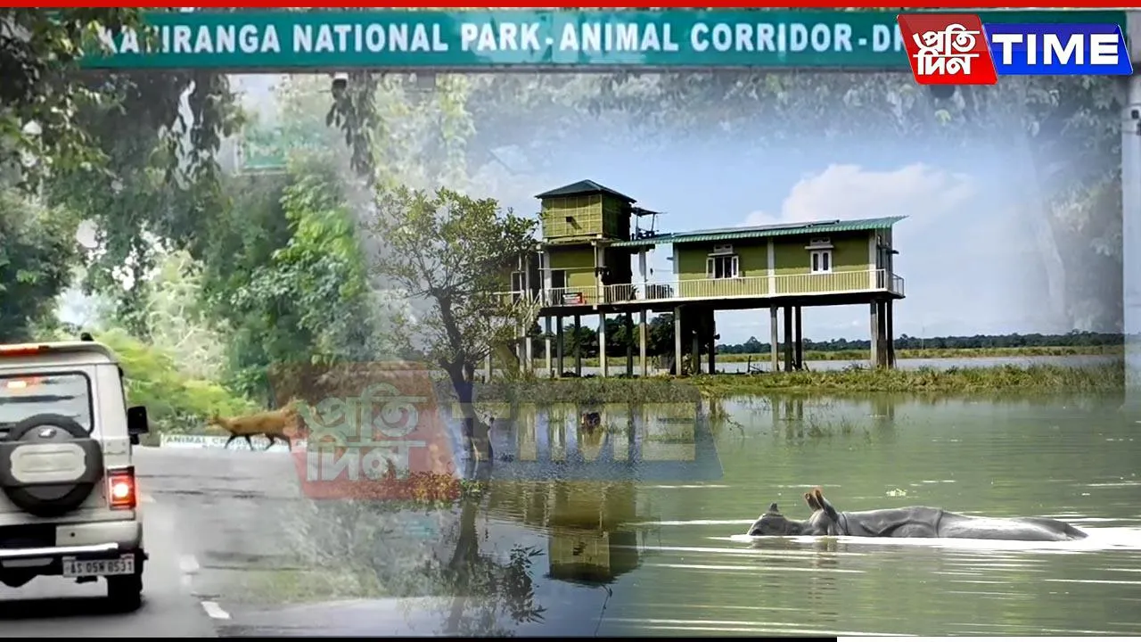 Assam Flood Update: Kaziranga on Alert; Wildlife Rules Enforced