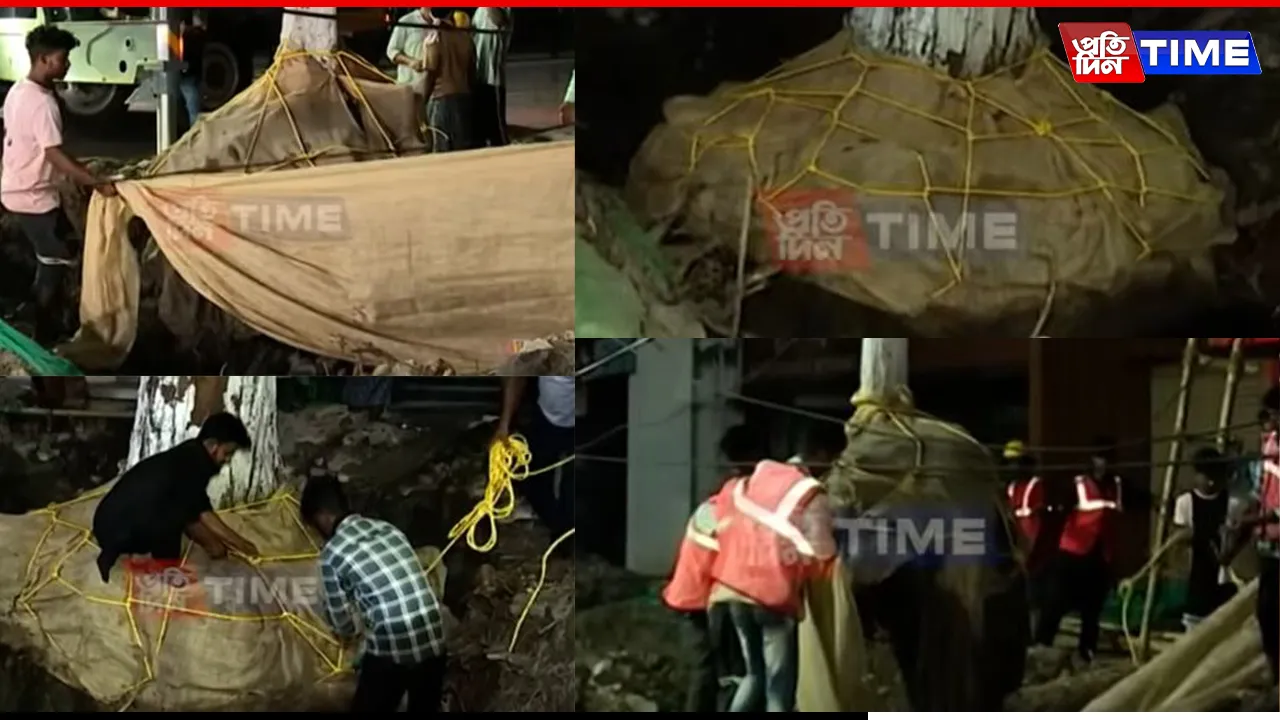 Ambari Trees Relocated to Lachit Ghat Amid Protests in Guwahati