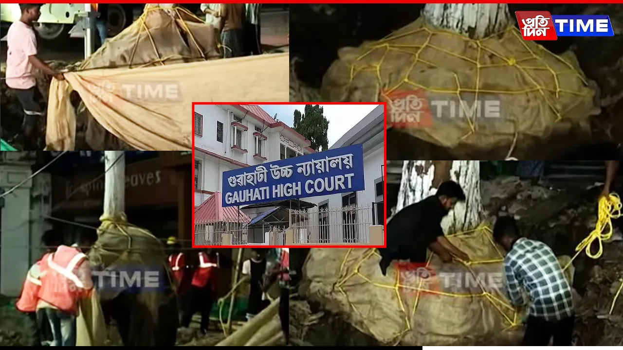 No Trees to Be Touched Near Dighalipukhuri, Orders Gauhati HC