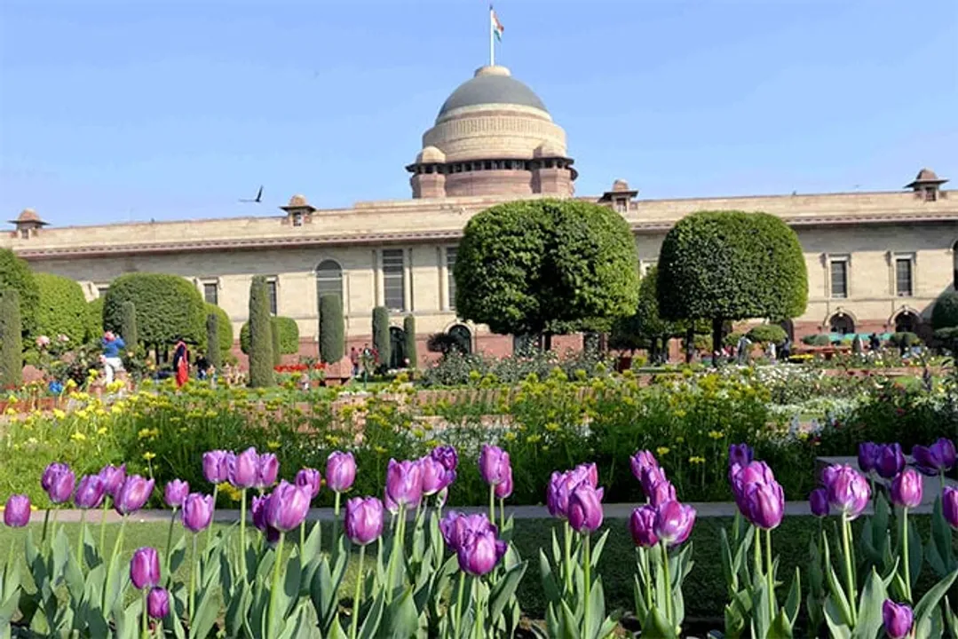 Mughal Gardens in Rashtrapati Bhavan to Reopen for Visitors from Today