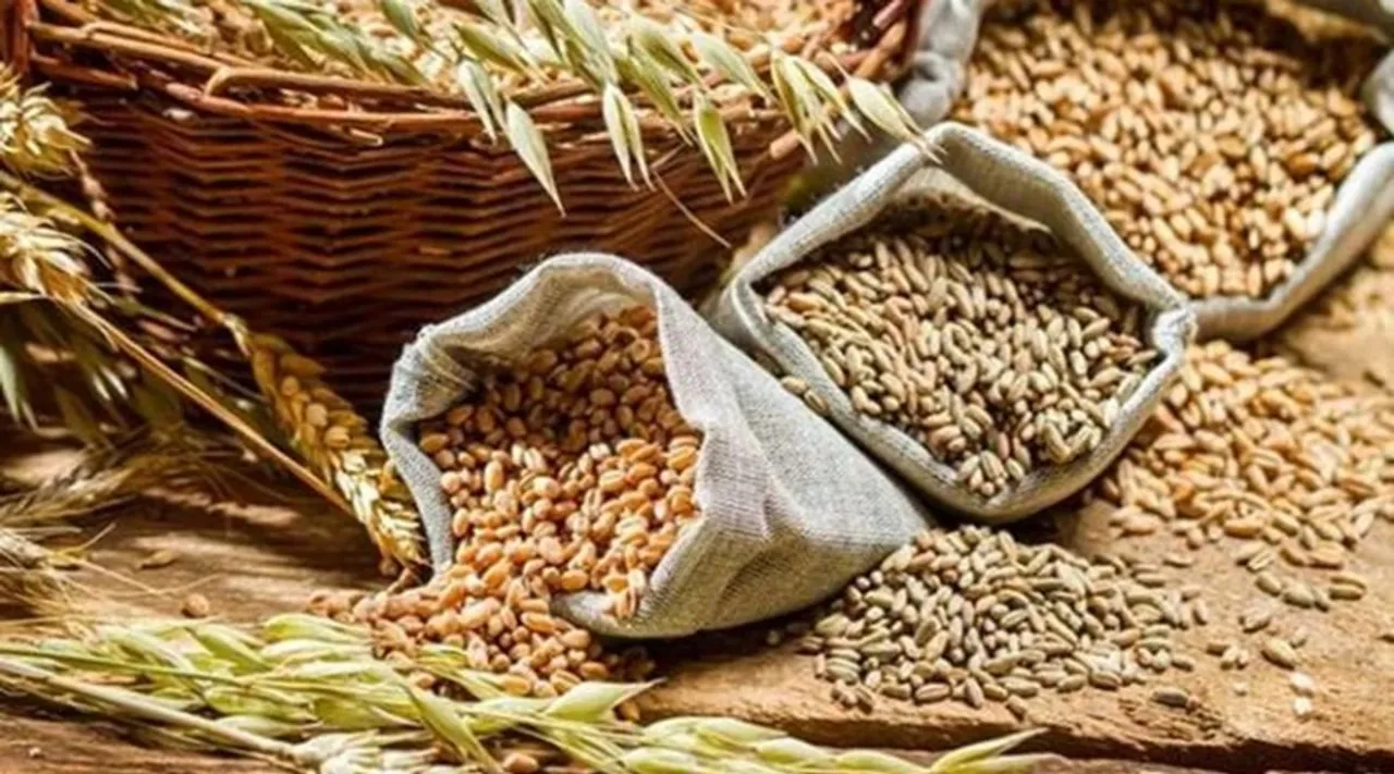 Free Food Grains to Over 80 Crore People Till Dec 2023