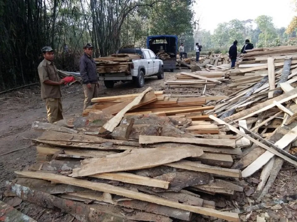 Illegal Sawmill Busted In Assam's Dibrugarh, Timber Seized