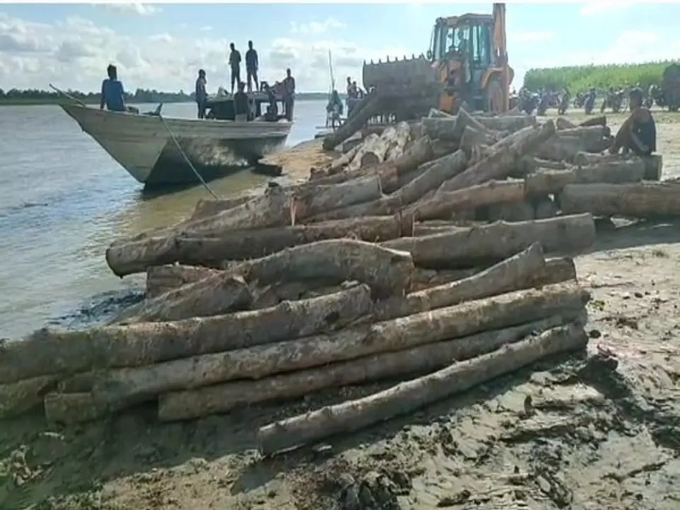 Huge Quantity Of Illegal Timber Seized In Assam's Barpeta