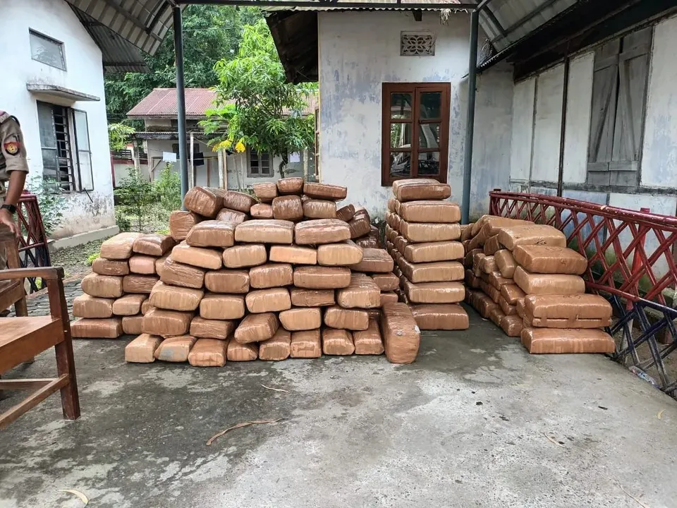 Assam: Cannabis Worth Crores Seized, 1 Held In Gossaigaon