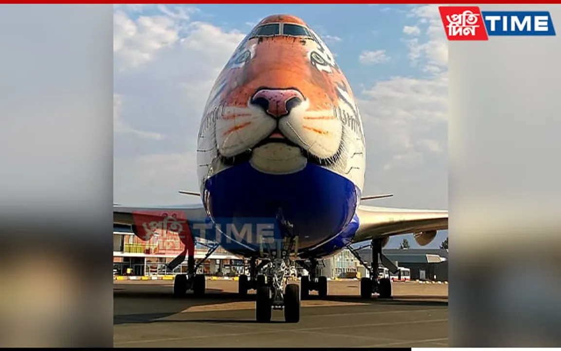 Customized Tiger-Faced Aircraft To Fly Cheetahs From Namibia To India