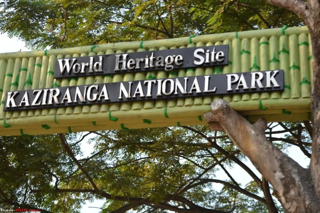 Kaziranga Authorities Fully Prepared To Tackle Floods: Official