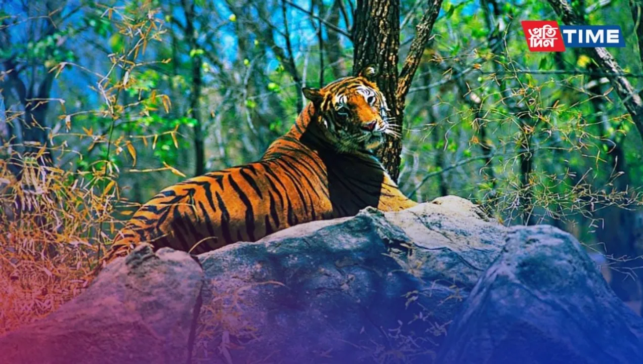 7 National parks and Wildlife Sanctuaries in Arunachal Pradesh