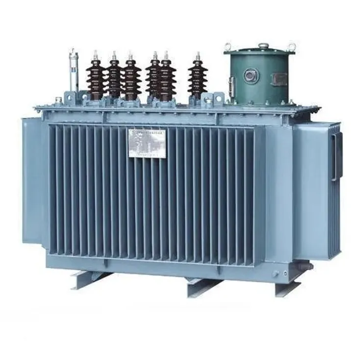 Man Electrocuted To Death After Coming in Contact with Transformer in Diphu