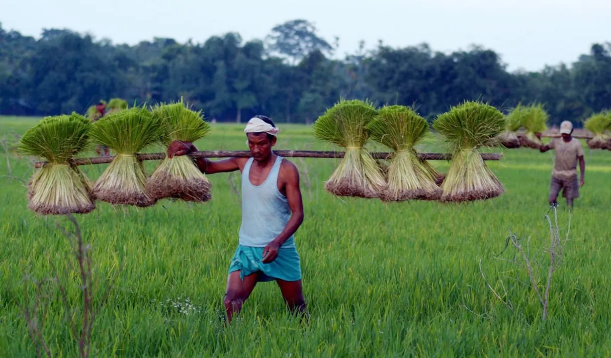 NE Farmers, Entrepreneurs Witnessing Income Growth From Govt Initiatives: Report
