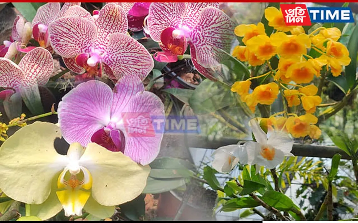 A Day Spent In Kaziranga National Orchid And Biodiversity Park | Part 1