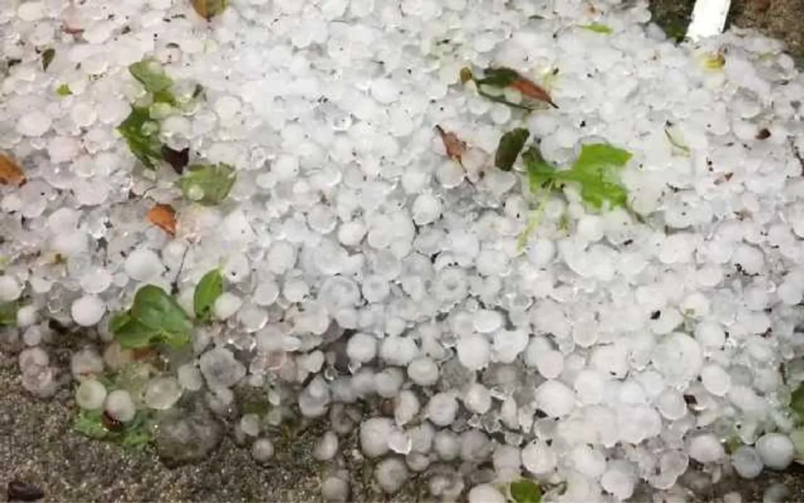Assam: Hail Storm Wrecks Havoc in Nagaon’s Kampur