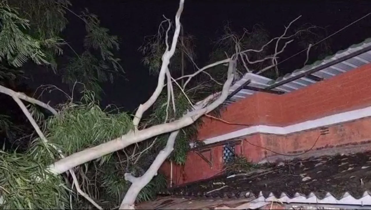 Guwahati: Neighbors Rescue Family after Tree Falls on House in Maligaon