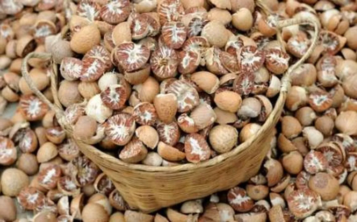 Assam: Major Burmese Supari Seizure at Diphu Railway Station