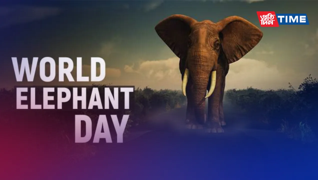 World Elephant Day: Honoring the Majesty and Conservation of Earth's Magnificent Giants