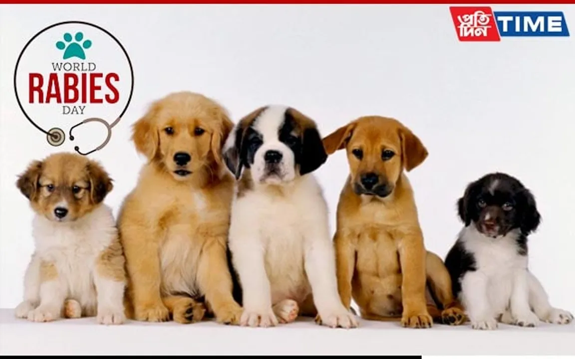 Guwahati: Raising Awareness, Saving Lives on World Rabies Day 2023!