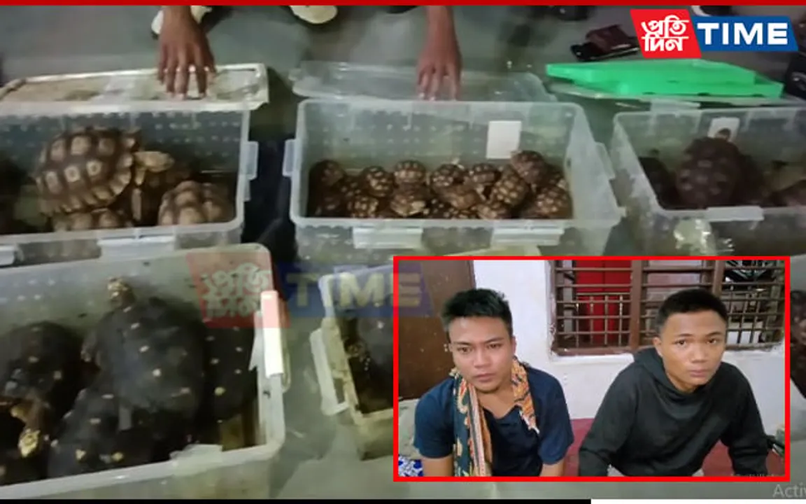 Assam: 74 Tortoises Rescued  at Lumding Railway Station; 2 from Mizoram Held