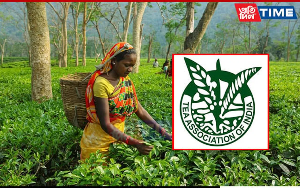 Tea Association of India Recommends Hourly Wage Rate for Workers