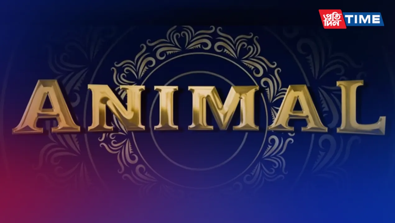 Animal US Release: Get Ready for Ranbir Kapoor's 'Animal' in the US!