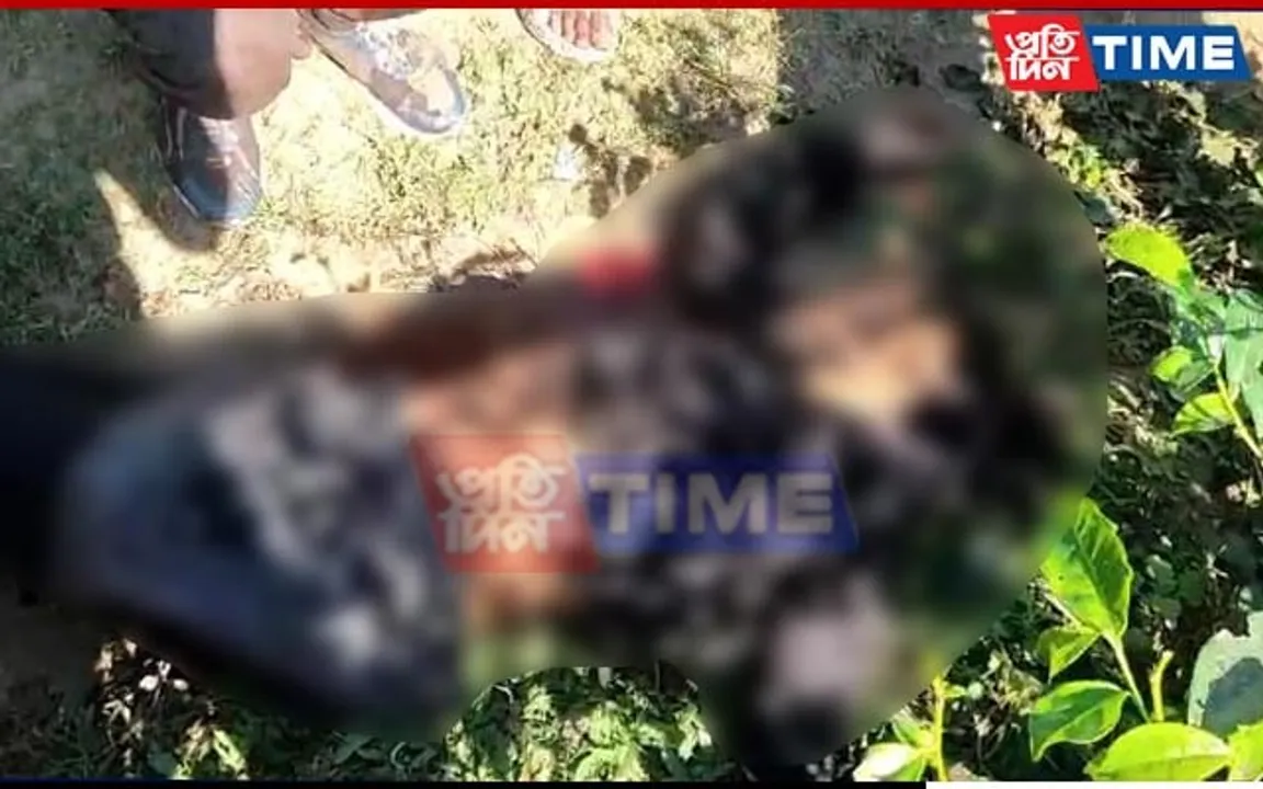 Assam: Freak Accident Claims Life of Tea Garden Worker in Tinsukia