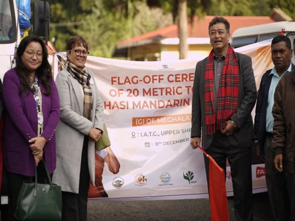 Meghalaya's Agricultural Triumph: 20 Tonnes of Khasi Mandarin Bound for Dubai