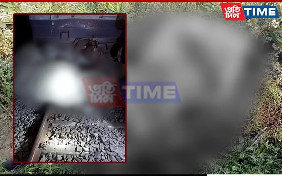 Wild Elephant Killed by Train in Assam; Spate of Elephant-Related Incidents Reported