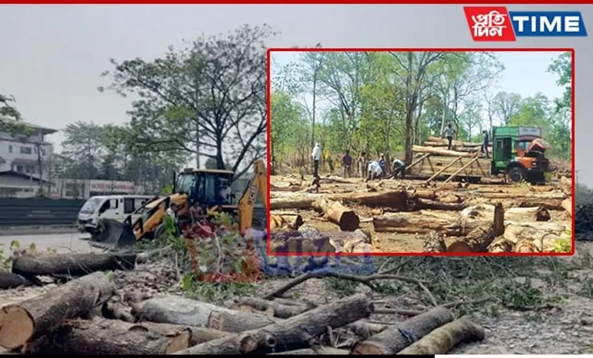 Forest Officer and Corruption Exposed in Nagaon: Asomiya Pratidin Report Makes Impact!