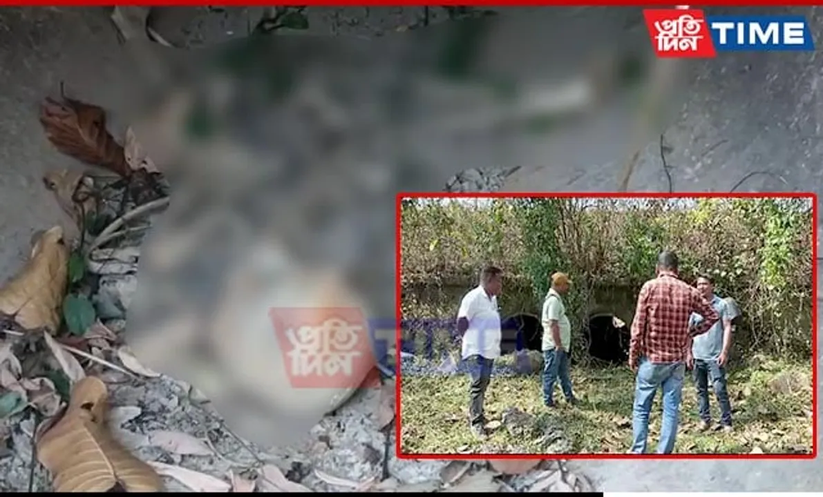 Assam: Mysterious Skeleton Recovered in Chhaygaon; Probe On