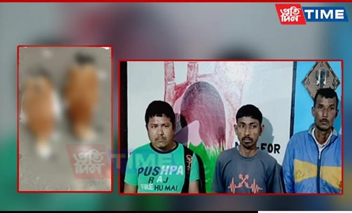 Three Arrested for Killing Migratory Birds in Assam's Biswanath