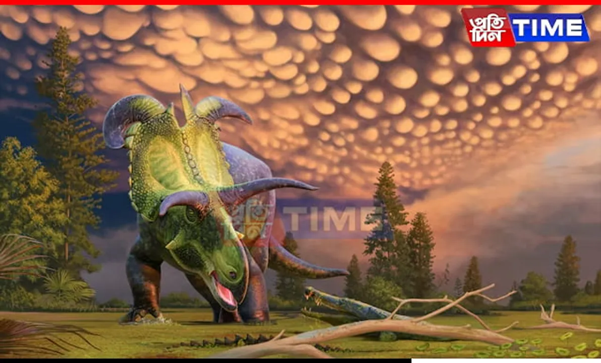 Scientists Unveil Largest & Most Ornate Horned Dinosaur Species Ever Discovered