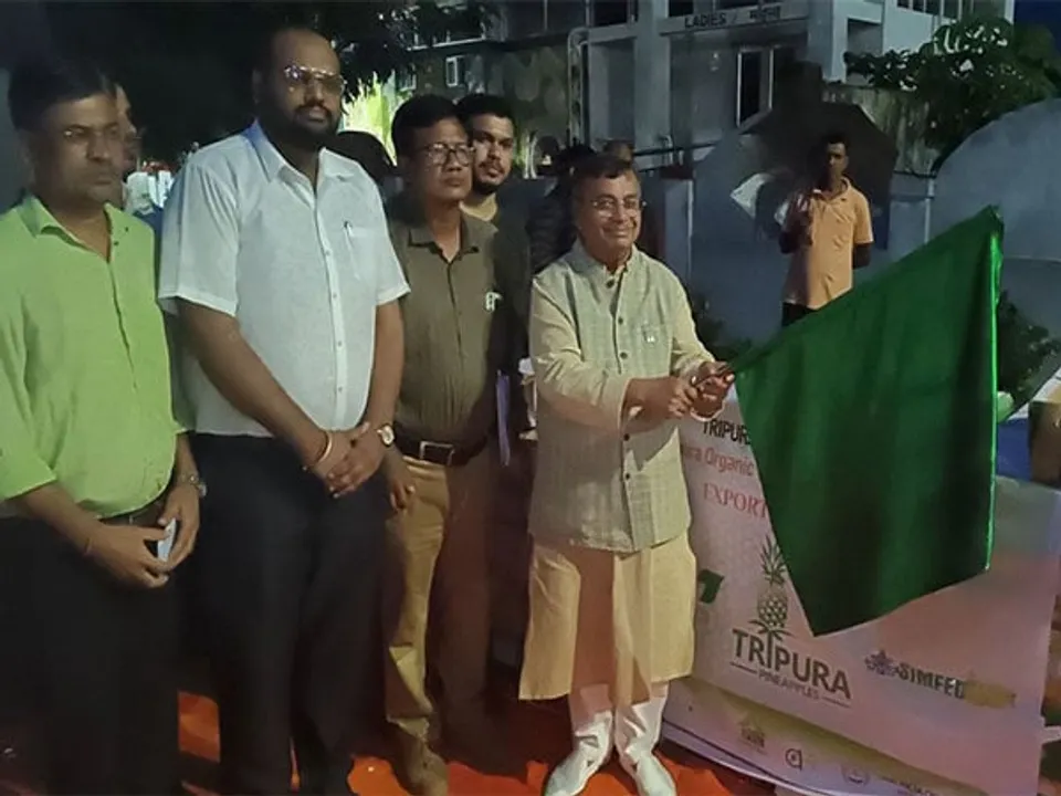 Tripura Exports 600kg of 'Queen Pineapple' To Oman