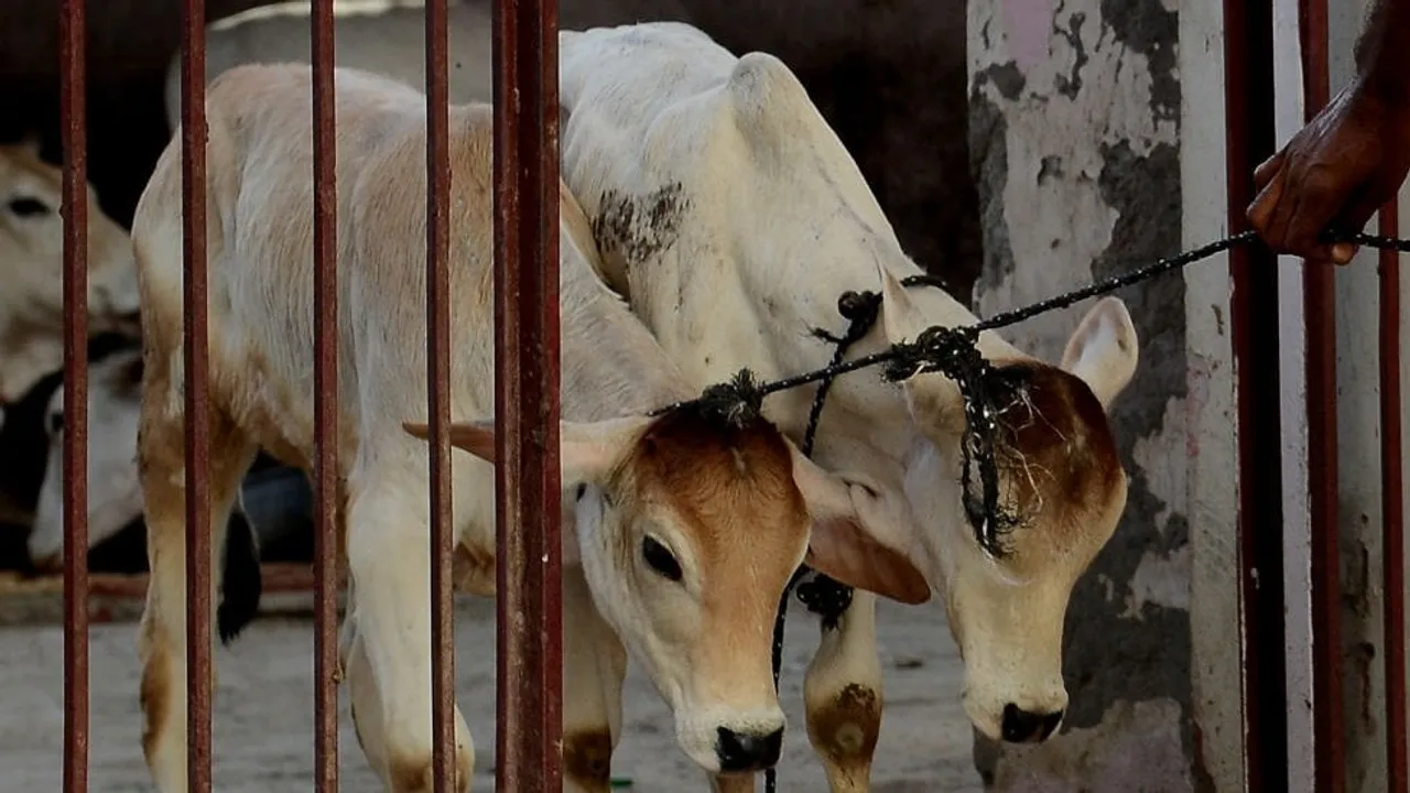 RSS-Backed Muslim Group Demands Closure of Illegal Beef Shops in Guwahati